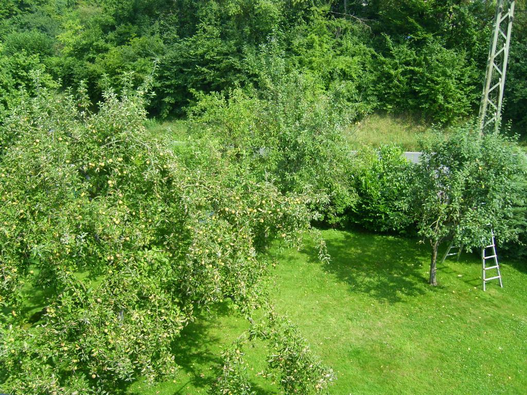Ferienwohnung Leichlingen *
